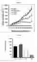 Fig. 07 - COMPOSITE NANOSTRUCTURES AND METHODS FOR MAKING AND USING THEM