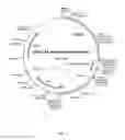 Fig. 02 - EXPRESSION OF NEUROPEPTIDES IN MAMMALIAN CELLS