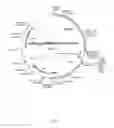 Fig. 03 - EXPRESSION OF NEUROPEPTIDES IN MAMMALIAN CELLS