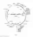 Fig. 08 - EXPRESSION OF NEUROPEPTIDES IN MAMMALIAN CELLS