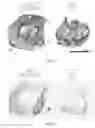 Fig. 02 - Therapeutic agent for spinal cord injuries
