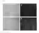 Fig. 04 - Novel Cationic Lipid, A Preparation Method of the Same and A Delivery System Comprising the Same