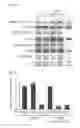 Fig. 18 - Methods for inhibiting cancer cell proliferation