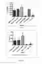 Fig. 07 - MEDICAL AND NUTRITIONAL FORMULATIONS