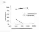 Fig. 02 - CROSSLINKED MATERIAL COMPRISING ELASTIN AND COLLAGEN, AND USE THEREOF