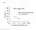 Fig. 03 - CROSSLINKED MATERIAL COMPRISING ELASTIN AND COLLAGEN, AND USE THEREOF