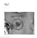 Fig. 08 - CROSSLINKED MATERIAL COMPRISING ELASTIN AND COLLAGEN, AND USE THEREOF
