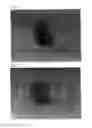 Fig. 13 - CROSSLINKED MATERIAL COMPRISING ELASTIN AND COLLAGEN, AND USE THEREOF