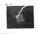 Fig. 14 - CROSSLINKED MATERIAL COMPRISING ELASTIN AND COLLAGEN, AND USE THEREOF