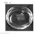 Fig. 16 - CROSSLINKED MATERIAL COMPRISING ELASTIN AND COLLAGEN, AND USE THEREOF