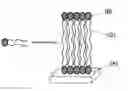 Fig. 01 - METHOD FOR INHIBITING DECOMPOSITION OF METAL SULFIDE-CONTAINING MATERIAL