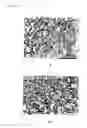 Fig. 09 - Method of fabricating thin film by microplasma processing and apparatus for same
