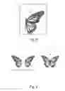 Fig. 04 - Decorative Winged Insects and Methods of Making Decorative Winged Insects