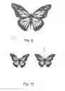 Fig. 06 - Decorative Winged Insects and Methods of Making Decorative Winged Insects
