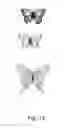Fig. 08 - Decorative Winged Insects and Methods of Making Decorative Winged Insects