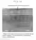 Fig. 16 - PLASTIC-WORKED LUMBER AND PROCESS FOR MANUFACTURING THE SAME