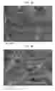 Fig. 05 - Belt-creped, variable local basis weight multi-ply sheet with cellulose microfiber prepared with perforated polymeric belt