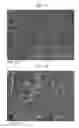 Fig. 07 - Belt-creped, variable local basis weight multi-ply sheet with cellulose microfiber prepared with perforated polymeric belt