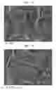 Fig. 09 - Belt-creped, variable local basis weight multi-ply sheet with cellulose microfiber prepared with perforated polymeric belt