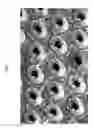 Fig. 16 - Belt-creped, variable local basis weight multi-ply sheet with cellulose microfiber prepared with perforated polymeric belt