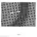 Fig. 08 - Pre-coated surfaces for analysis
