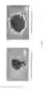 Fig. 10 - Pre-coated surfaces for analysis