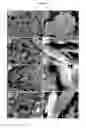 Fig. 05 - MAGNETIC NANOFLAKES