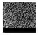 Fig. 01 - Method of reducing odor of composite resin particles, and composite resin particles