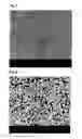 Fig. 05 - Method of reducing odor of composite resin particles, and composite resin particles