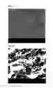Fig. 10 - Method of reducing odor of composite resin particles, and composite resin particles