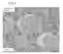Fig. 07 - Nanocomposite bulk magnet and process for producing same