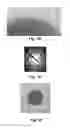 Fig. 03 - Carbon-encased metal nanoparticles and sponges as wood/plant preservatives or strengthening fillers