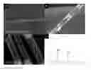 Fig. 01 - Synthesis of nanopeapods by galvanic displacement of segmented nanowires