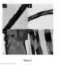 Fig. 04 - Synthesis of nanopeapods by galvanic displacement of segmented nanowires