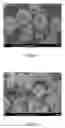 Fig. 02 - ELECTRODE-ACTIVE ANION-DEFICIENT LITHIUM TRANSITION-METAL PHOSPHATE, METHOD FOR PREPARING THE SAME, AND ELECTROCHEMICAL DEVICE USING THE SAME