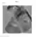 Fig. 02 - Method of producing nano-scaled inorganic platelets
