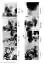 Fig. 02 - Nanostructured catalyst supports