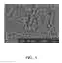Fig. 04 - Electrode material and solid oxide fuel cell containing the electrode material