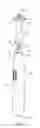 Fig. 04 - Accessory head for a powered toothbrush and toothbrush incorporating the same
