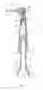 Fig. 05 - Accessory head for a powered toothbrush and toothbrush incorporating the same
