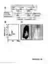 Fig. 16 - METHODS FOR PHYSIOLOGICAL MONITORING, TRAINING, EXERCISE AND REGULATION