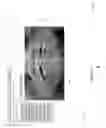 Fig. 07 - Educational system for dental professionals