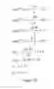 Fig. 10 - Method and system for developing and administering subject-appropriate implicit-association tests