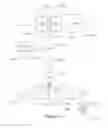 Fig. 35 - Method and system for developing and administering subject-appropriate implicit-association tests