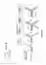 Fig. 06 - Triggered molecular geometry based bioimaging probes
