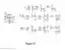 Fig. 25 - Triggered molecular geometry based bioimaging probes