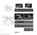 Fig. 35 - Triggered molecular geometry based bioimaging probes
