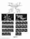 Fig. 36 - Triggered molecular geometry based bioimaging probes