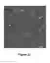 Fig. 37 - Triggered molecular geometry based bioimaging probes