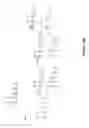 Fig. 38 - Triggered molecular geometry based bioimaging probes